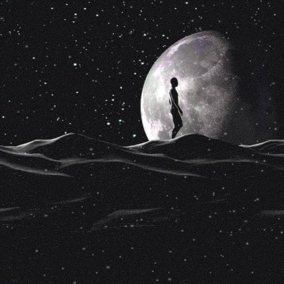 Meet your Posher, Karina - Picture 1 of 1